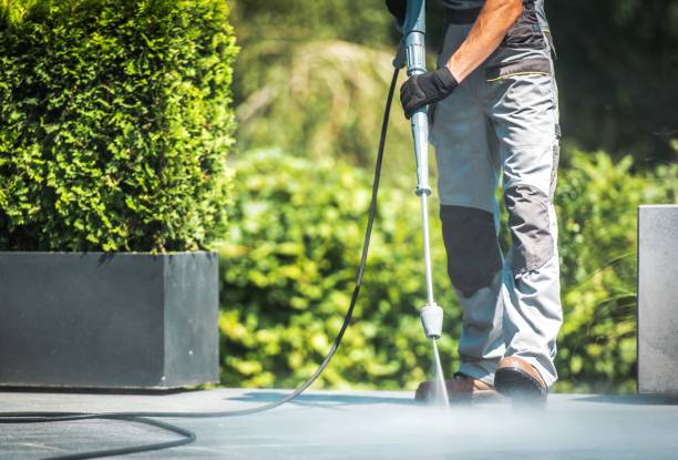 Best Sidewalk and Walkway Cleaning  in Absecon Highlands, NJ