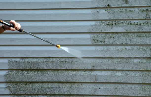 Best Driveway Pressure Washing  in Absecon Highlands, NJ